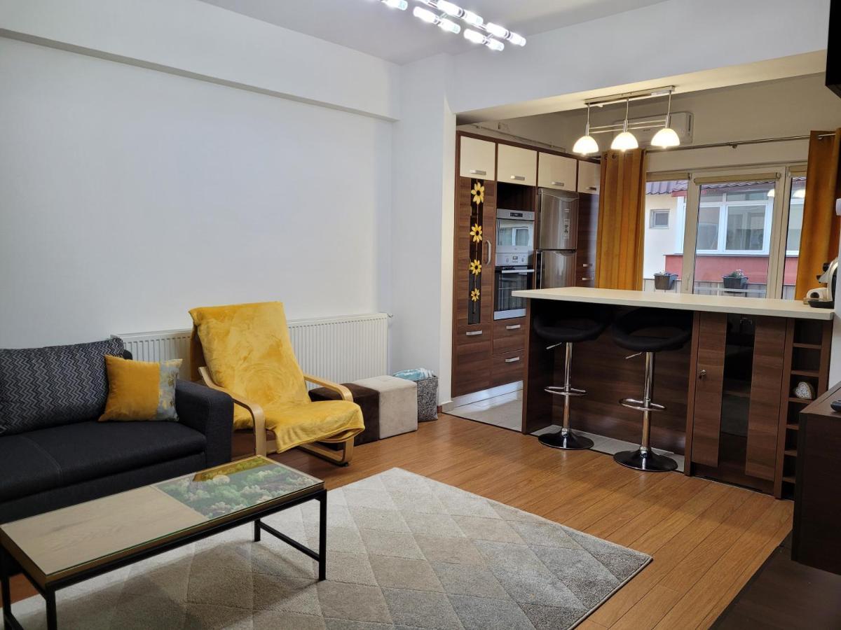 Andi Apartment Sibiu Eksteriør billede